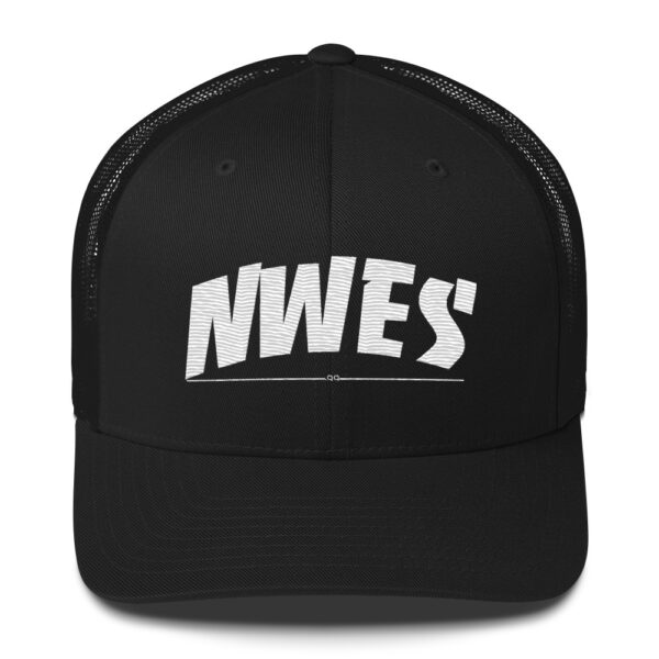 NWES Skate Grind Cap - Image 2