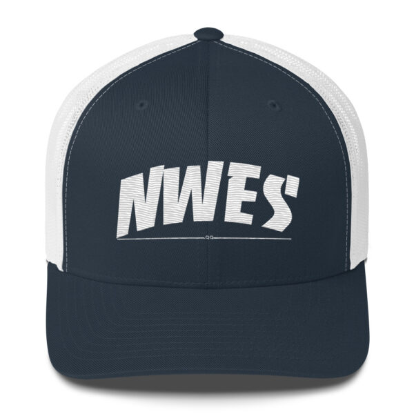 NWES Skate Grind Cap - Image 4