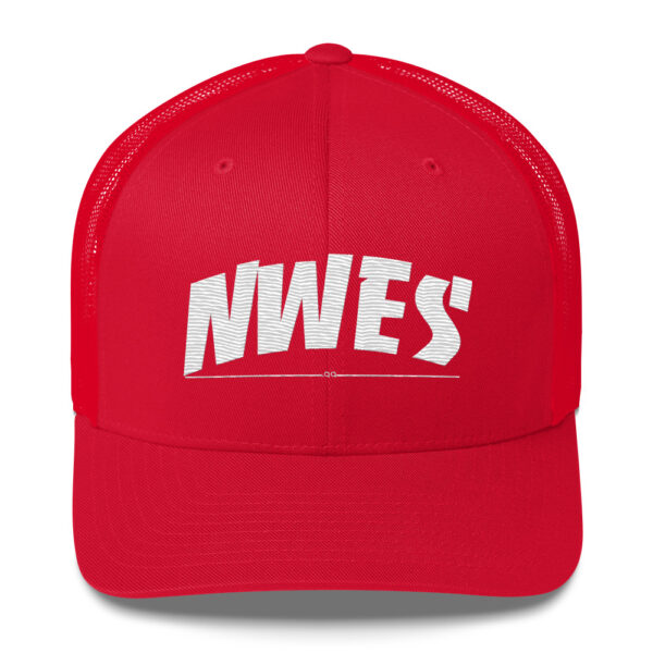 NWES Skate Grind Cap - Image 6